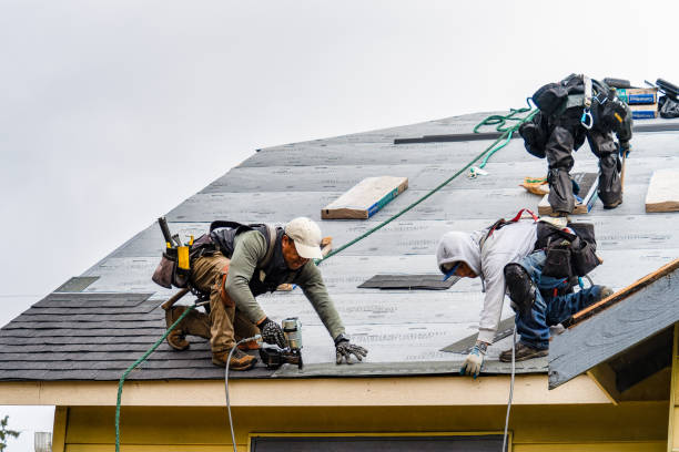 Professional Gutter Installation technician working in Harvard, NE